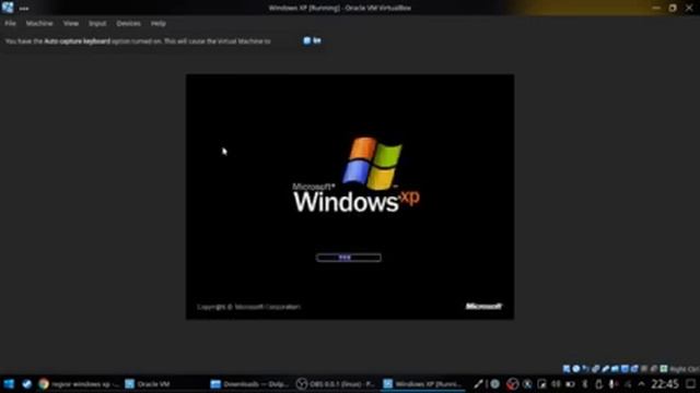 Bonzi Buddy en Windows XP смотреть онлайн