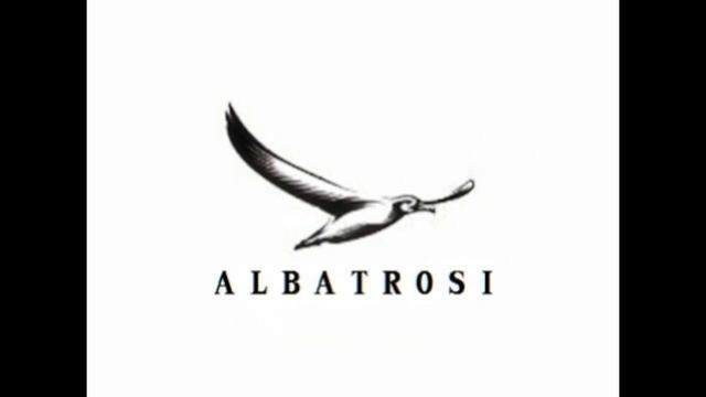 Albatrosi- Fleetwood Mac - Albatross (cover) смотреть онлайн