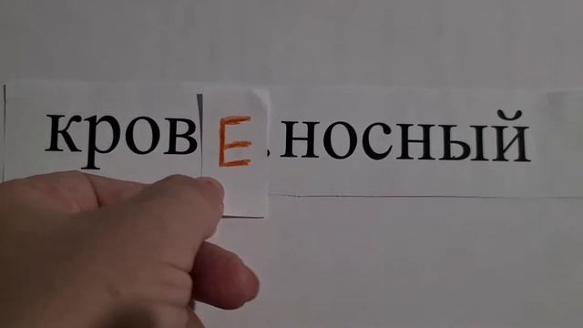 О или Е? Русский язык на пять! смотреть онлайн