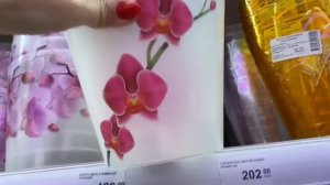 ВЛОГ Что СЛУЧИЛОСЬ с АЛИСОЙ?  КУПИЛА новые ОРХИДЕЙ и горшки для орхидей! Мили Ванили