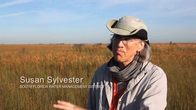 Arthur Marshall Everglades Paddle Expedition смотреть онлайн