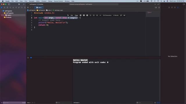 Using Xcode to write & run C and C++ Programs. смотреть онлайн