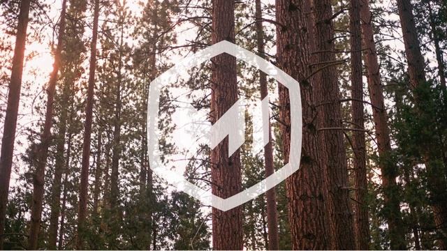 The Life (Dave Edwards Remix) - Viceroy (ft. Penguin) смотреть онлайн
