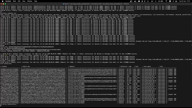 Tari Mining Guide For Mac  - Dibbler Testnet Edition
