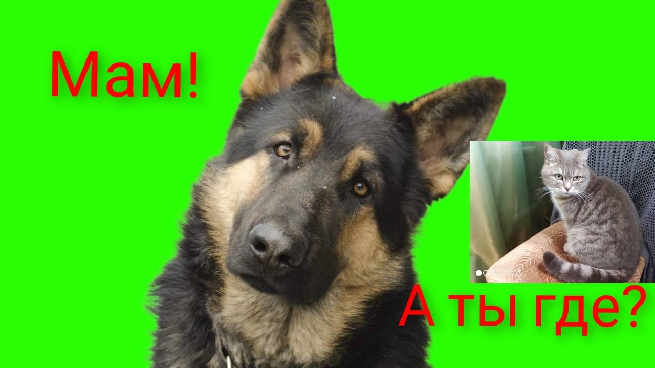 С песней по жизни. Урал - Волгоград музыкальная дорога. Люблю путешествовать. смотреть онлайн