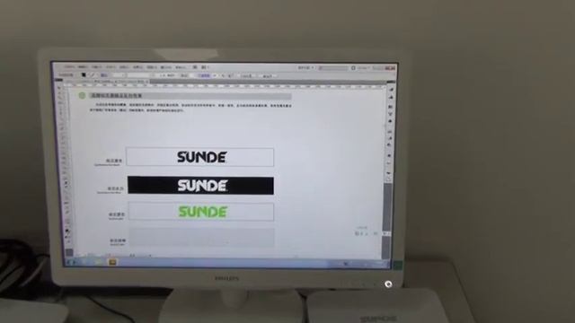 SUNDE Diana zero client performance overview смотреть онлайн