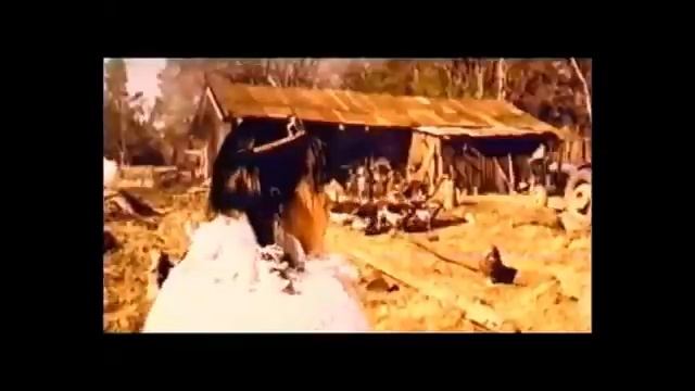 Windows 2000 advert смотреть онлайн