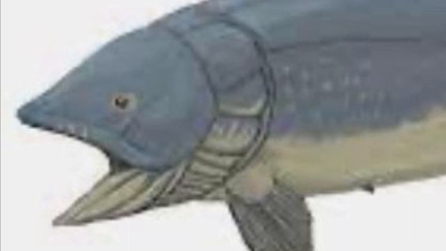 IM DA BIGGEST FISH смотреть онлайн