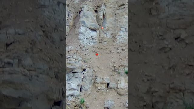 Учу стрельбе по взлетающему фазану в Спортинг клубе Парк отеле Цитадель Тула смотреть онлайн