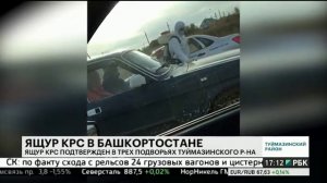 Ящур КРС подтвержден на трех подворьях в Туймазинском районе