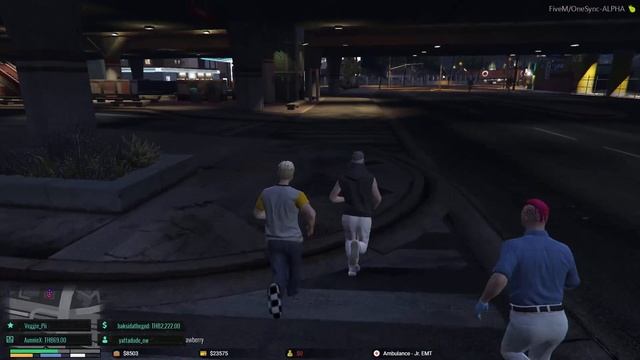 FiveM - หมอ 2000 เซิฟ Mystery EP.01 смотреть онлайн