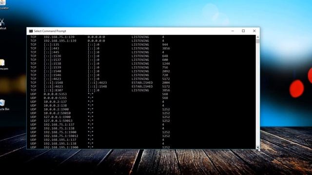 Sidee U Ogaan kartaa in Virus kujiro Computer kaaga смотреть онлайн