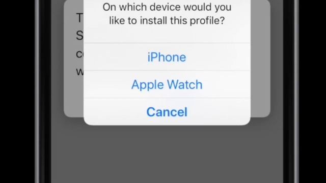 Download beta profile - WatchOS смотреть онлайн