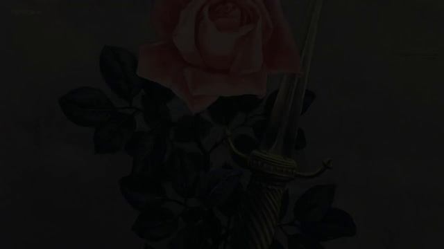 Teddy Picker // Arctic Monkeys Lyrics