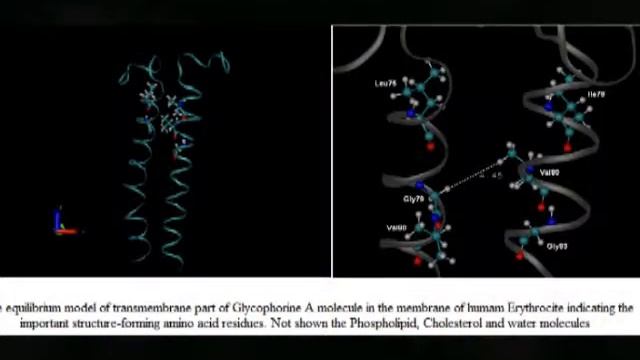 Elena Chobanyan - Scientists (in Armenian) смотреть онлайн