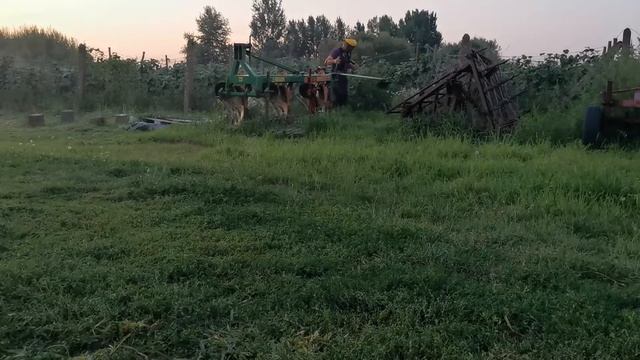 Variolux alias oleo mac sparta 26.😉😁 смотреть онлайн