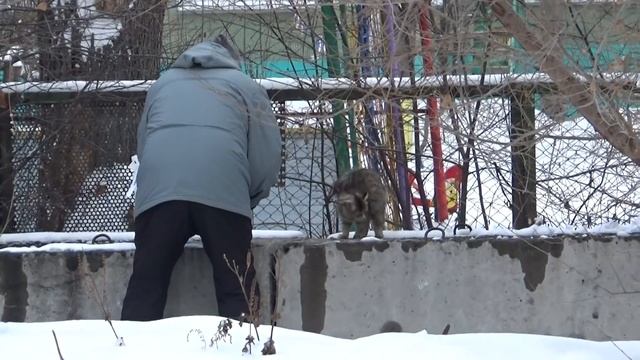 ВЛОГ Масе сделали операцию / Дома ужасный беспорядок