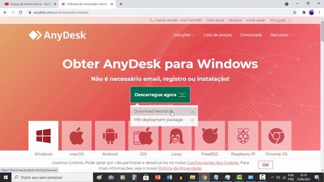 Como baixar e instalar o AnyDesk - Rápido e fácil смотреть онлайн