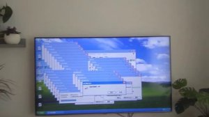 windows xp crazy error