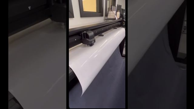 Italia's Mexican Cuisine Window Graphics Step-by-step Process смотреть онлайн