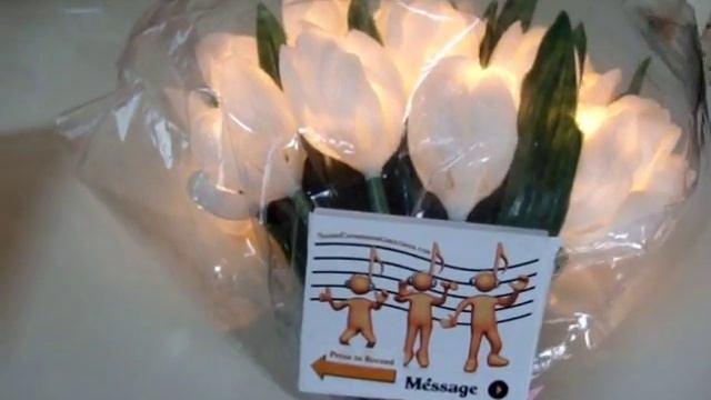 Push Button Sound Modules/Gift Tags смотреть онлайн