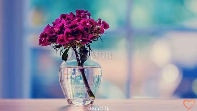 Mac Miller - Ros (sub español) смотреть онлайн