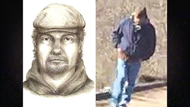 LEAKED Delphi murders update: is this the K*LLER? смотреть онлайн