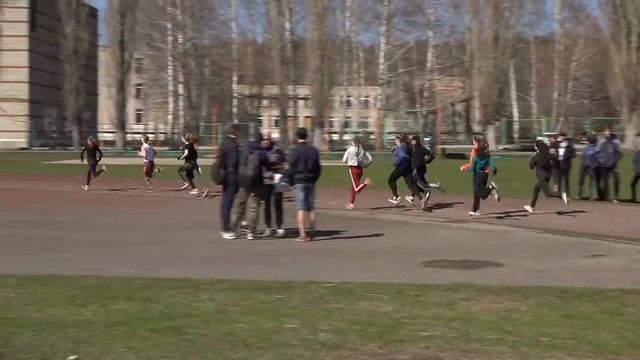 Весенние ласточки