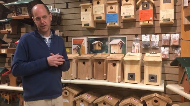 Bird House Basics смотреть онлайн