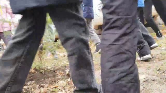 20-10-2024 смотреть онлайн