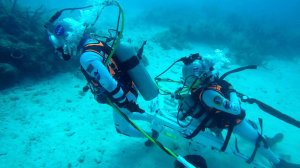 «Подводный мир Дж. Берда» Тренировка астронавтов но сначала техника неподвижности акул