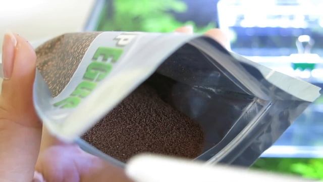 How to Hatch Brine Shrimp Eggs with NO Equipment | NO Air Pump Easy Setup смотреть онлайн