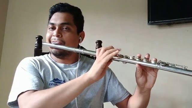 Bésame - Ricardo Montaner, Flauta traversa смотреть онлайн