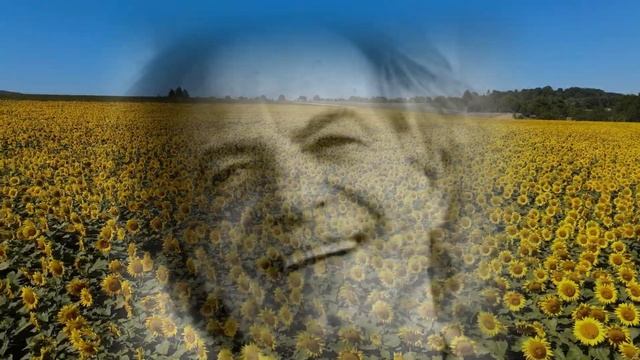 Червона Рута - Василь Зінкевич смотреть онлайн