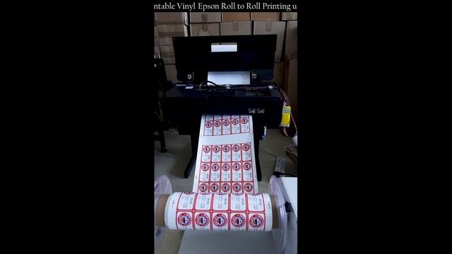 Epson Roll to Roll Printing смотреть онлайн
