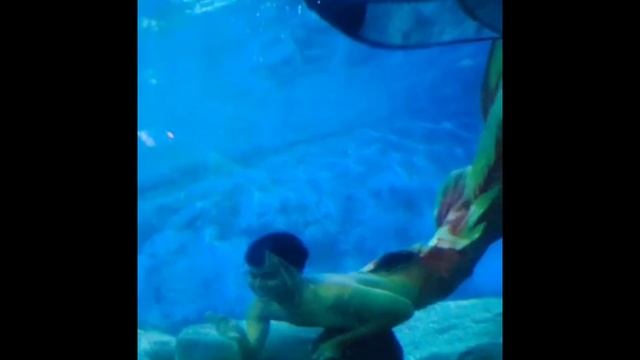 Mermaid || Snake || Under Water World || Thai Massage || Pattaya смотреть онлайн
