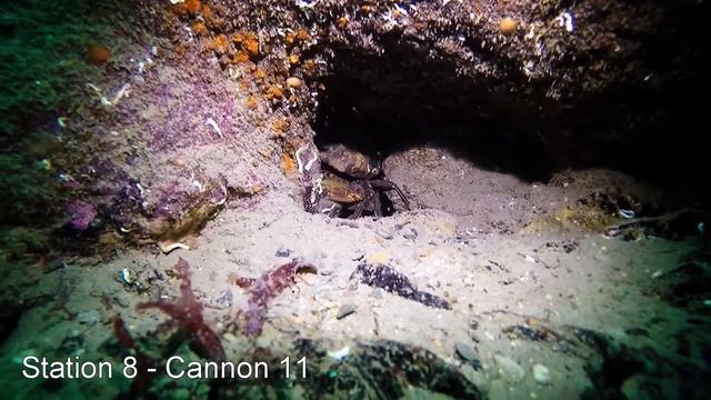 HMS Coronation (Offshore Cannon Site) [+1691], Plymouth 🏴󠁧󠁢󠁥󠁮󠁧󠁿 (#477) смотреть онлайн