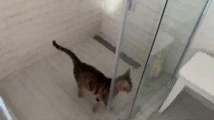 ВЛОГ У нас ОТКЛЮЧИЛИ СВЕТ ! Пересаживаю ОРХИДЕИ ! Алиса НЕ ХОЧЕТ делать уроки ! Мили Ванили