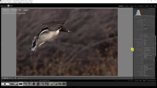 Topaz Photo AI| ¿Da lo que PROMETE el Nuevo TOPAZ PHOTO AI? смотреть онлайн