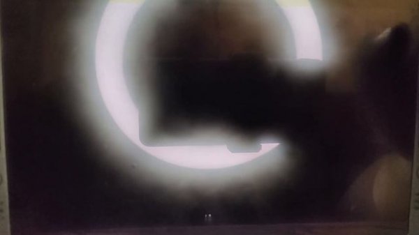 Steam Deck НА WINDOWS / КАК ЭТИМ ПОЛЬЗОВАТЬСЯ? / РАЗБИРАЕМСЯ