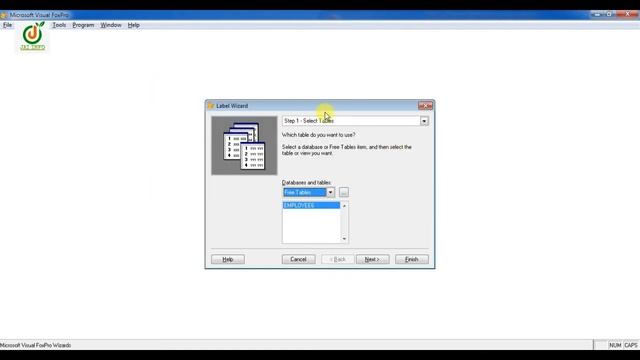 How To Create Label In Visual Foxpro | Create Label VFP | Part-6 | VFP Me Label Kaise Banayen смотреть онлайн