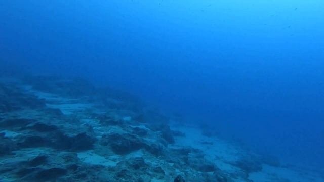 Apple Watch Ultra Underwater Navigation WORKS!!! смотреть онлайн