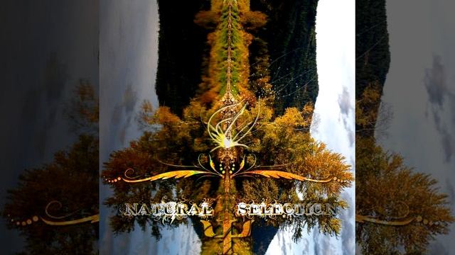 Cyber Motion - Nirvana смотреть онлайн