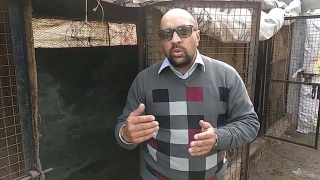Dog farm Special Winter Care Tips for Your Doggies - Bhola Shola смотреть онлайн
