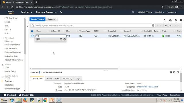 VSPARKZ | AWS EBS | Create and Configure EBS storage in a Linux VM | AWS EBS DEMO ( In English) смотреть онлайн