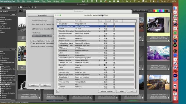 How To Customize IPTC Metadata Dialogs in Photo Mechanic смотреть онлайн