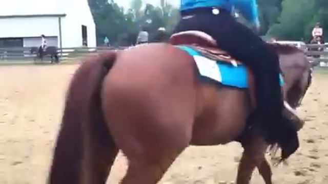 Hercules Conclusion WP смотреть онлайн