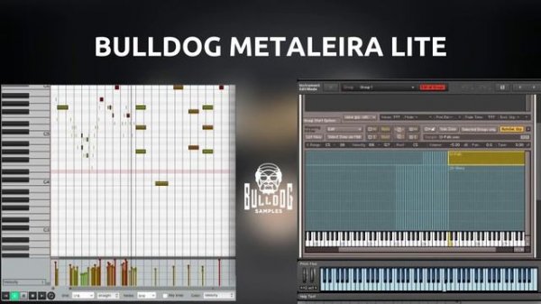 BULLDOG METALEIRA BRASS SAMPLE | NATIVE INSTRUMENTS KONTAKT | SOUND LIBRARY
