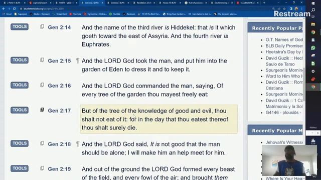 The TREE of KNOWLEDGE of GOOD and EVIL смотреть онлайн