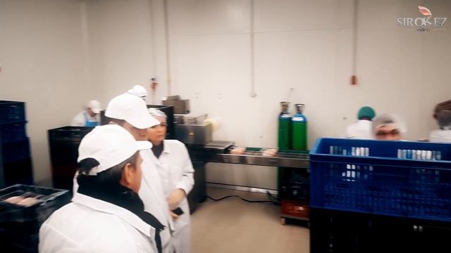 Kaspara Gerharda vizīte RGK смотреть онлайн